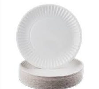 Paper Plate Small Ordinary White