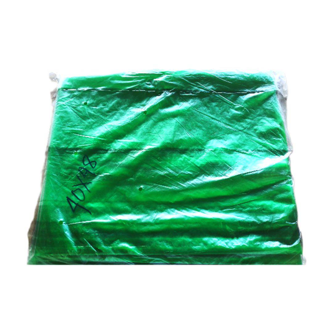 40x48 Ordinary Fish Bag
