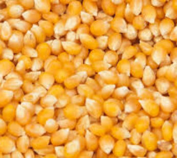 Popcorn