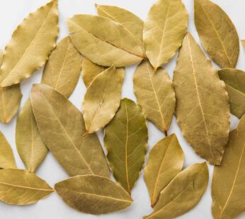 Paminta Dahun ( Laurel Leaves )