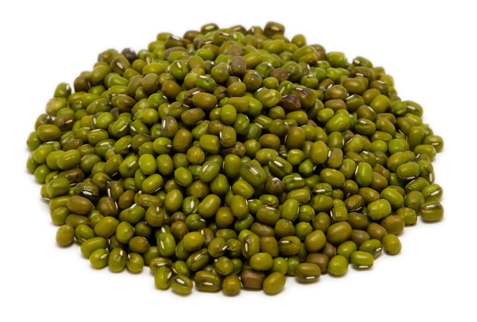 Monggo Beans
