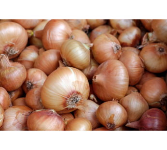 Onion White