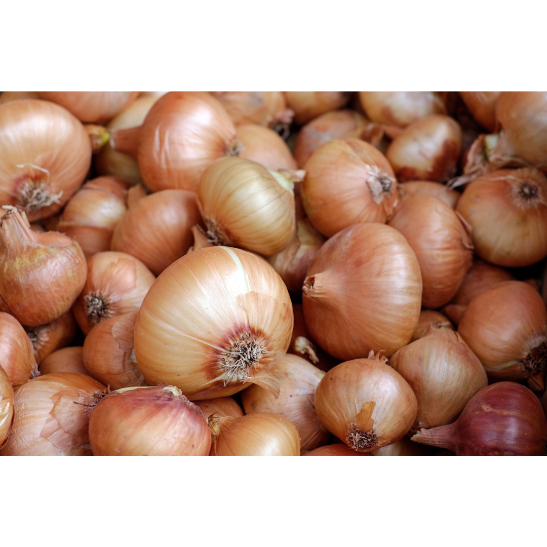 Onion White